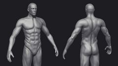 ZBrush sculpting